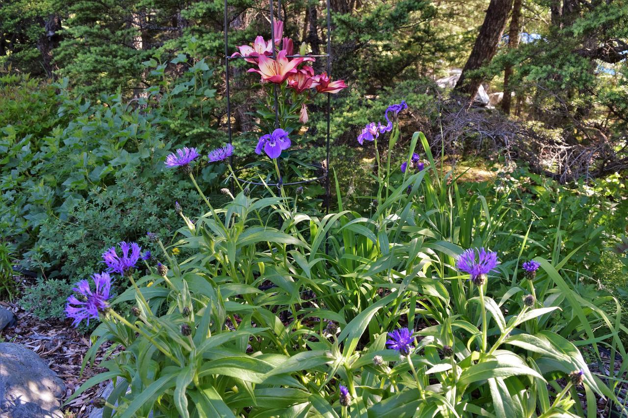 Crow Creek Hotell Girdwood Exteriör bild